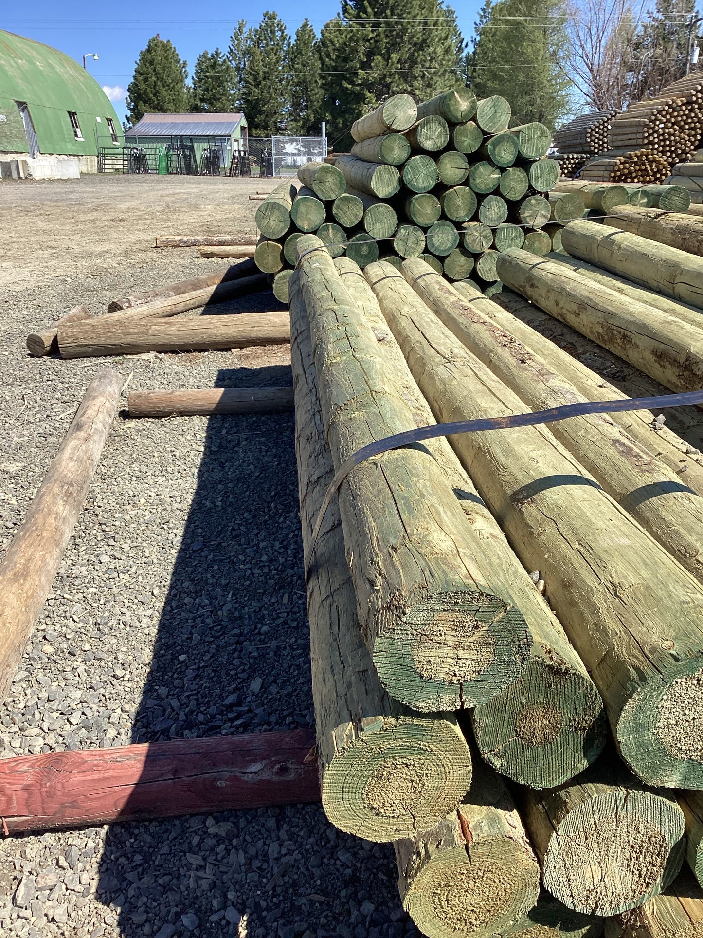 3-4" x 7' Blunt Post