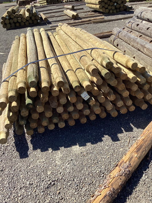 8' x 3.5" 20-Year Doweled Rail